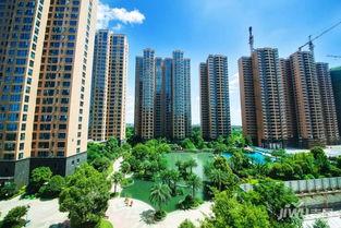 衡阳楼市最新爆料,最新爆料揭示市场新动向  第2张